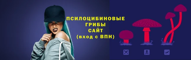 мефедрон мука Дмитровск