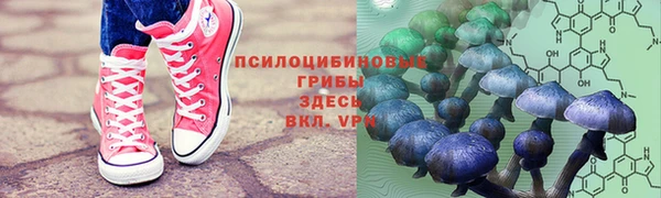 MESCALINE Дмитриев