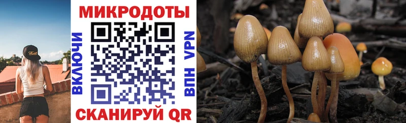 Галлюциногенные грибы прущие грибы  Купить  Славянск-на-Кубани 
